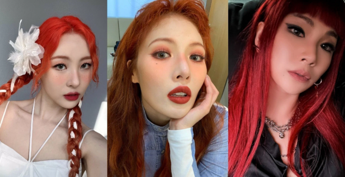 3 feminine Ok-pop idols who turned profitable soloists after their teams disbanded